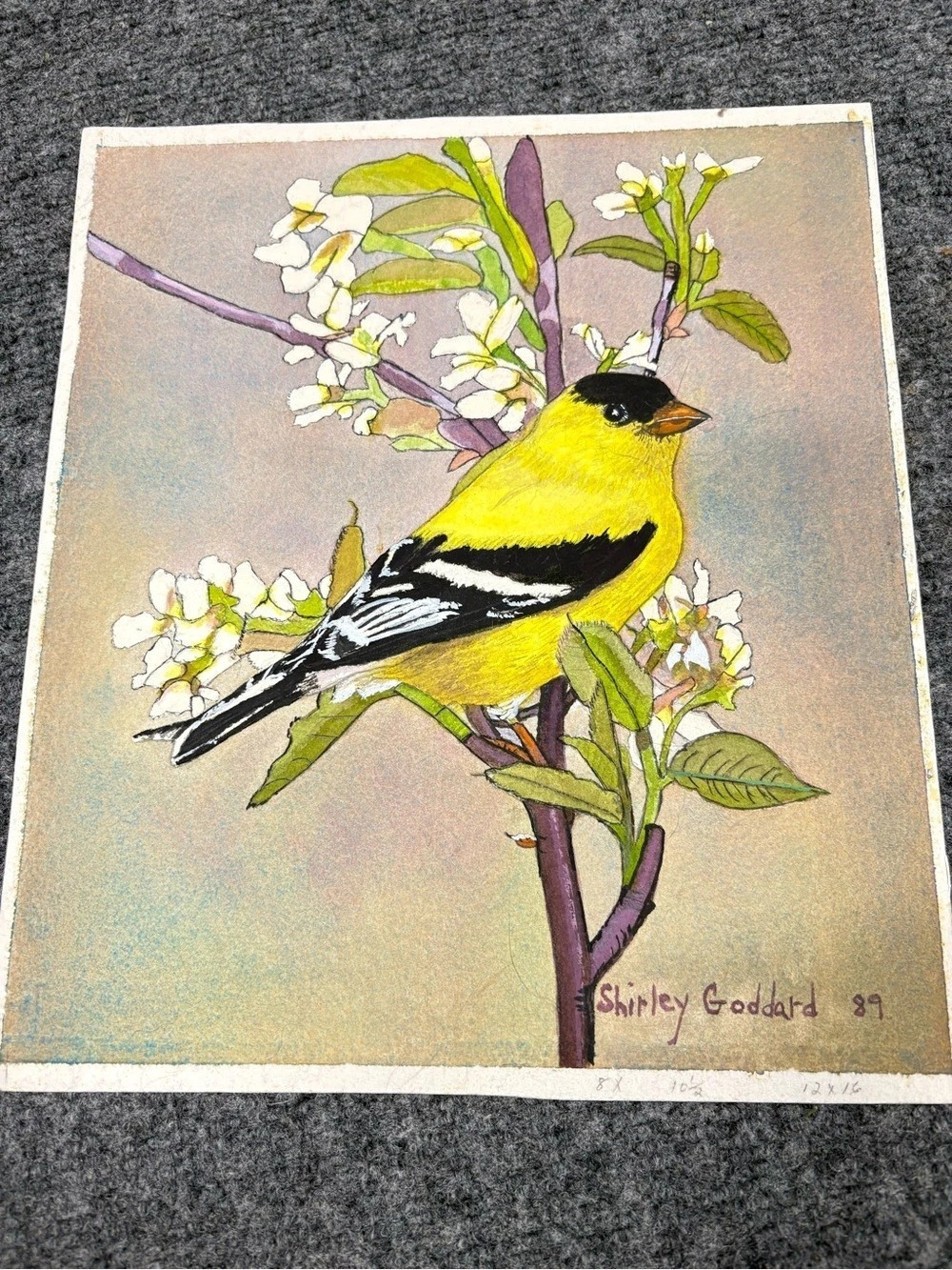 Signed Watercolor American Goldfinch Art Print by Shirley Goddard 1989